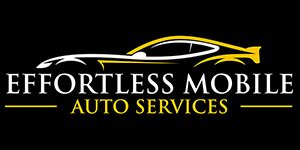 Effortless mobile detailing